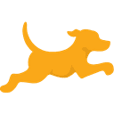 Fetch